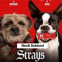 Strays
