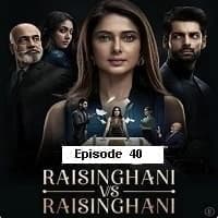 Raisinghani vs Raisinghani