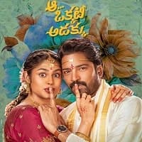 Aa Okkati Adakku (2024) Unofficial Hindi...