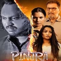 Pinjra (2025) Punjabi Full Movie Watch O...