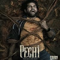 Pechi