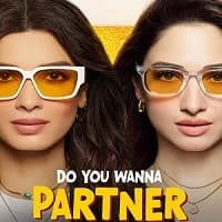 Do You Wanna Partner