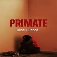 Primate